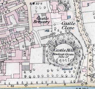 Higgins and Sons Castle Brewery in 1881